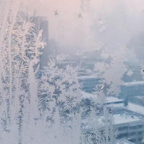 难忘的一年：冬天,那些难忘的冬日时光