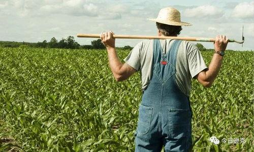 最后一个农夫,最后一个农夫的田园诗与时代变迁