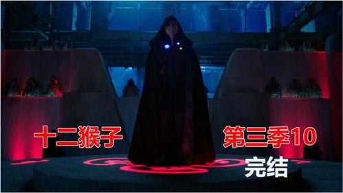 十二猴子 第三季,时间悖论与命运交织的第三季