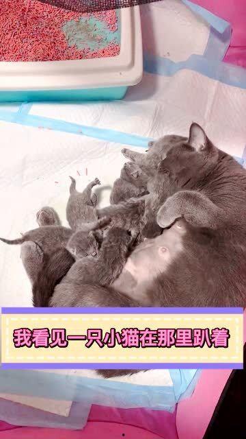 我绝育后老婆后悔了,家庭关系面临挑战