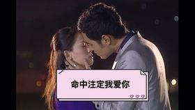 命中注定要爱你